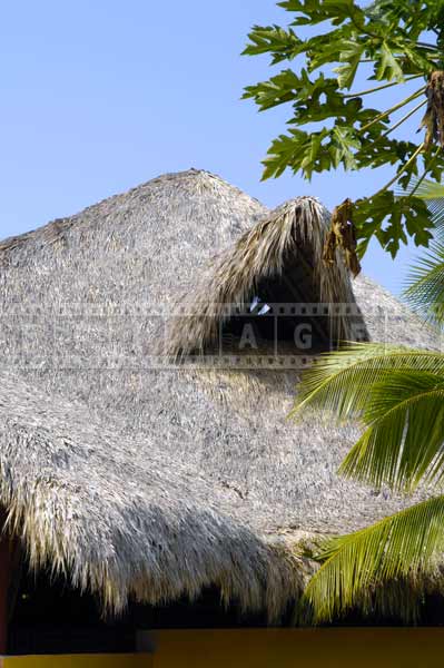 palapa building thatched roof dominican republic travel images