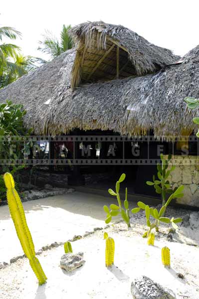 palapa building thatched roof dominican republic