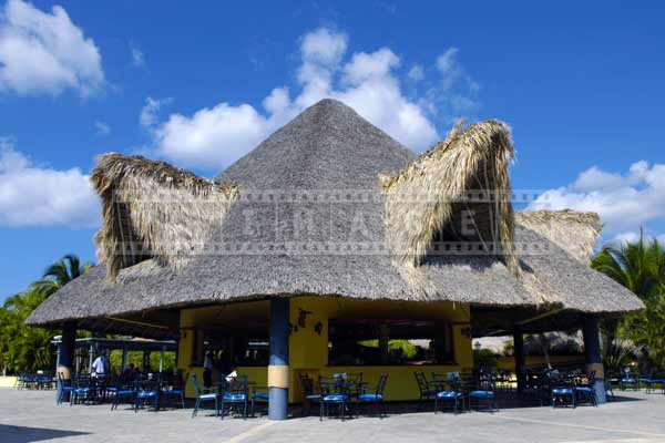 Tiki bar with large thatched roof, pictures of buildings