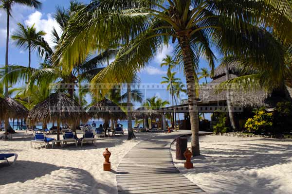 Caribbean beach front with palapas, Dominican Republic travel images