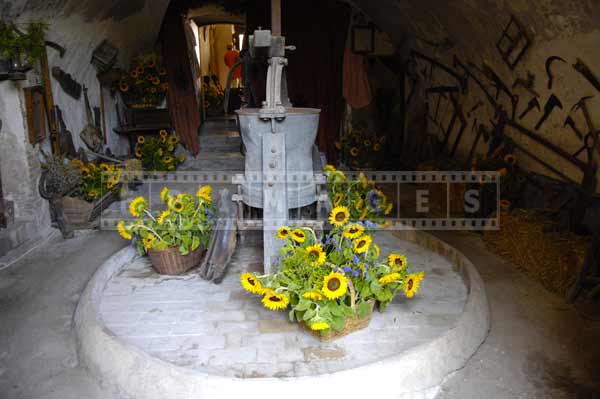 south france european cityscapes - sunflowers decorations