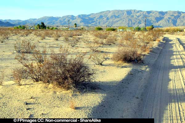 Twentynine Palms - unique desert landscapes