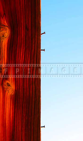 Bright wood texture and three nails, abstract images