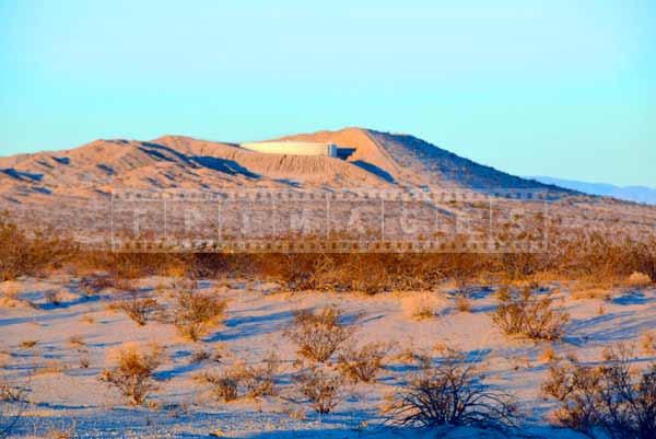 Sunrise lights up desert plants, landscape photogrpahy