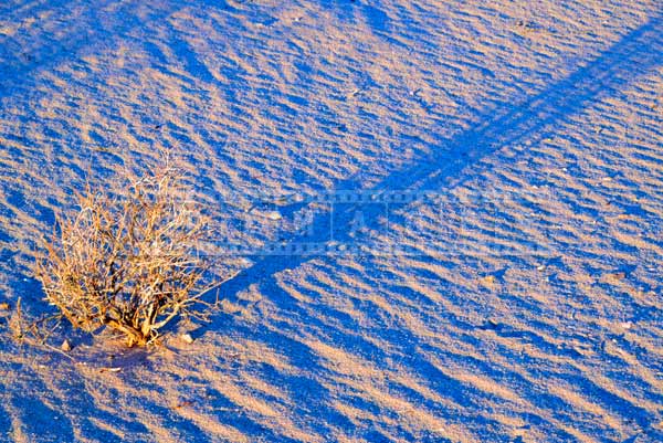 Desert texture and long shadows at sunrise. abstract images