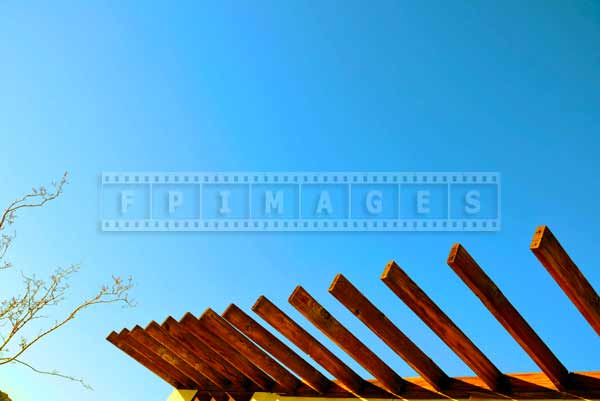 Tree branch and roof beams, nature vs man made abstract images