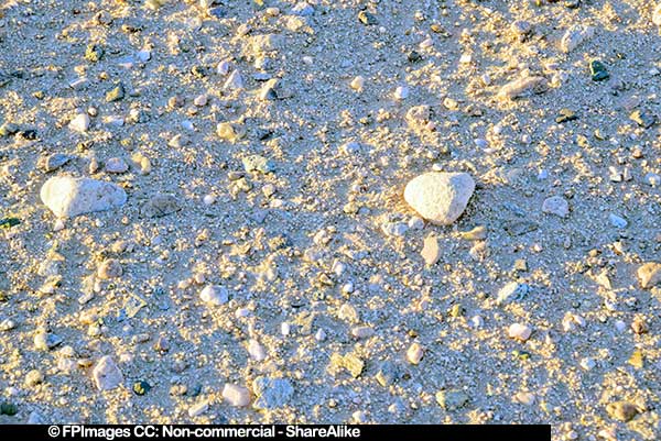 Texture of desert sand in sunrise light, free image