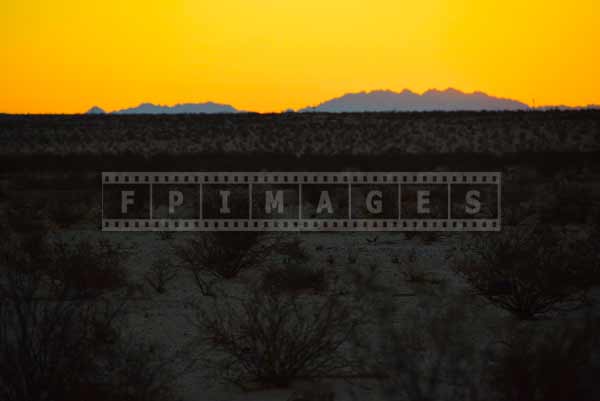 sunrise in Mojave desert, nature landscape photography 