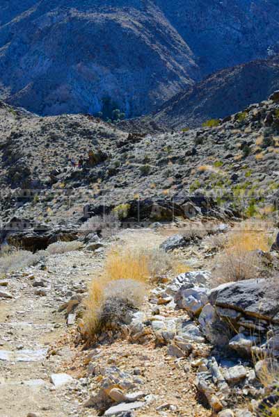 Green oasis, view from the top of the hiking trail