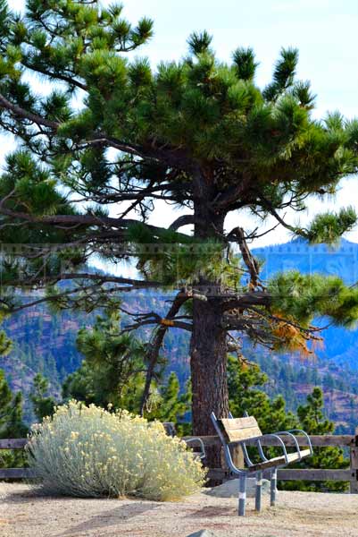 Scenic drive stop - Inspiration point