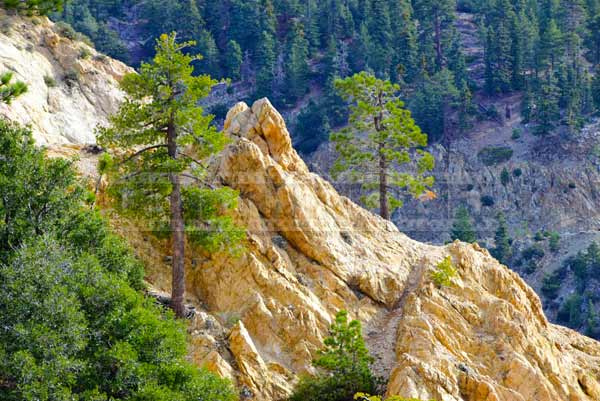 San Gabriel Mountains Pictures