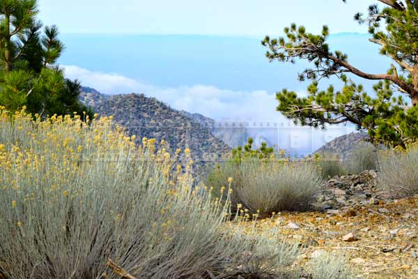 angeles national forest mountains pictures