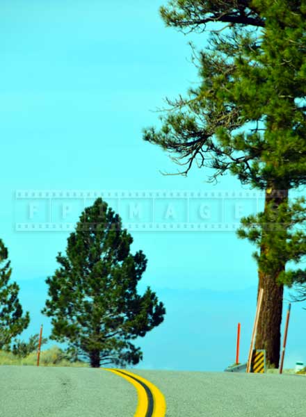 angeles crest highway amidst large trees