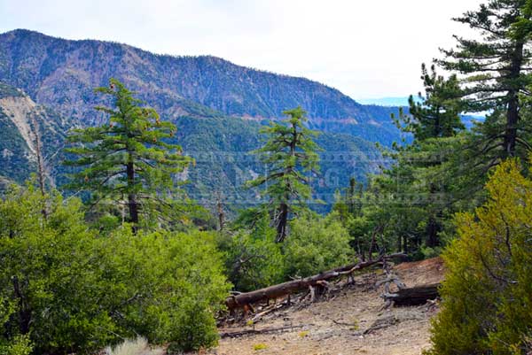 Mountains landscape picture from Angeles Crest picnic stop