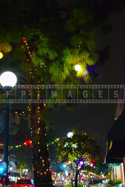 Vibrant outdoor Christmas decorations night cityscapes 