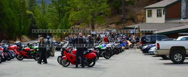 dozens of motorcycles at Newcomb's Ranch