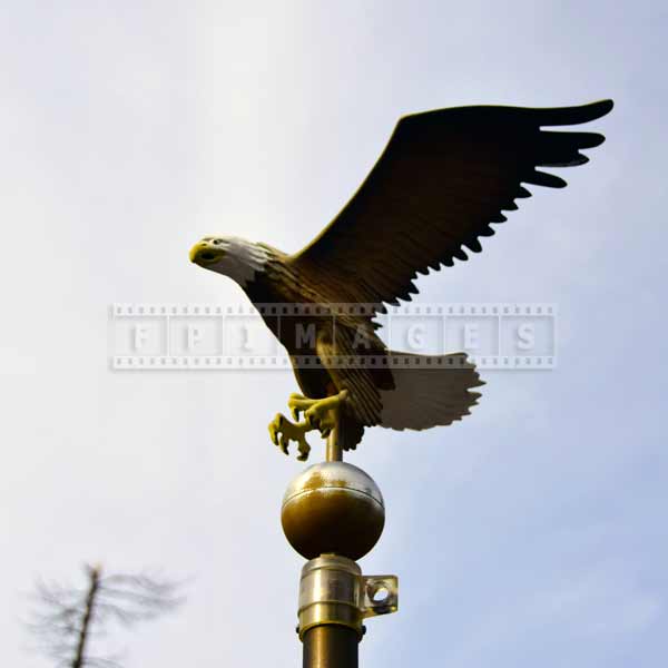 Bronze eagle at the Ranch