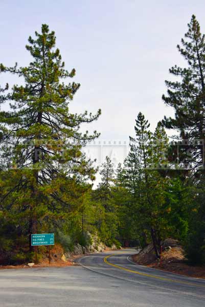 Road sign with distances to Buckhorn, Big Pines, Wrightwood