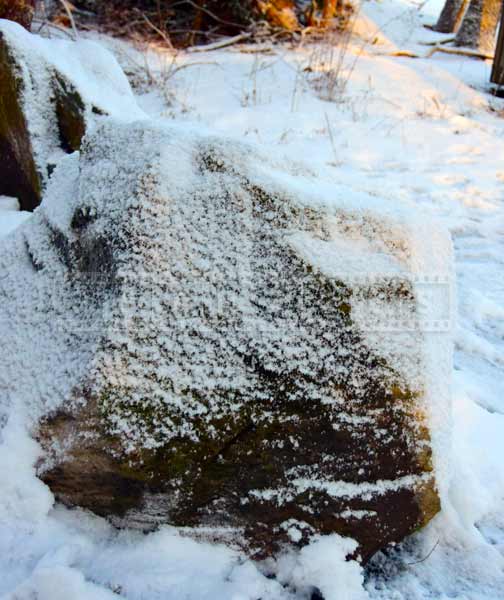 snow covered rocks