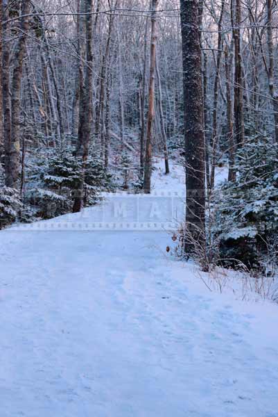 winter hiking trails nature photography 