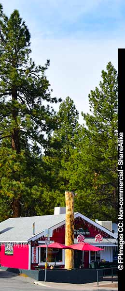 Huge evergreen trees line the streets, travel images