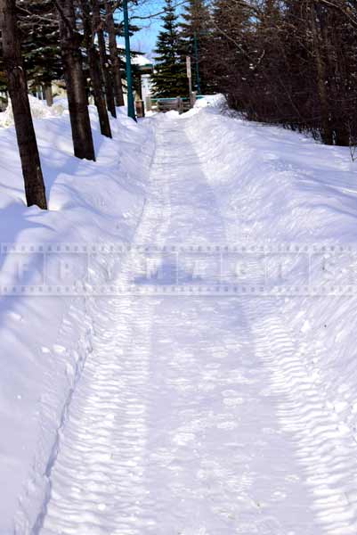 Winter trail picture in Edmundston