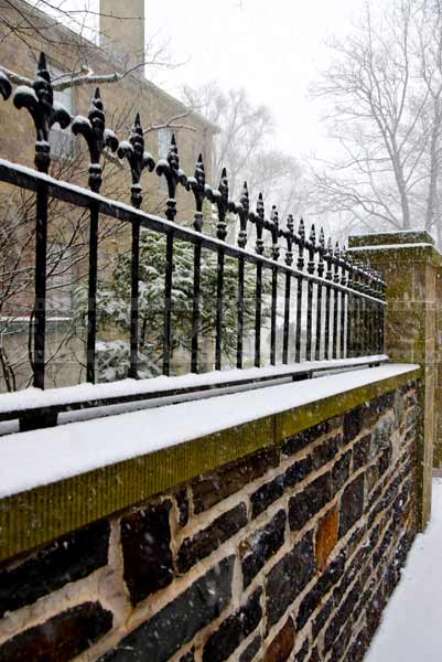 Beautiful wrought iron fence of the government house