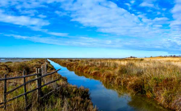 Scenic rural landscape in Camargue Provence