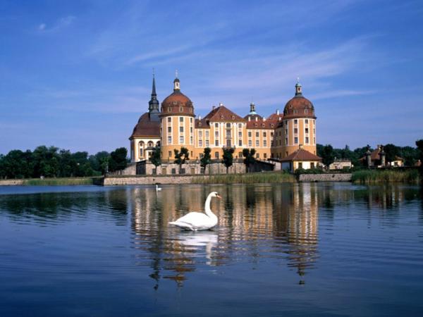 german lakes with swans