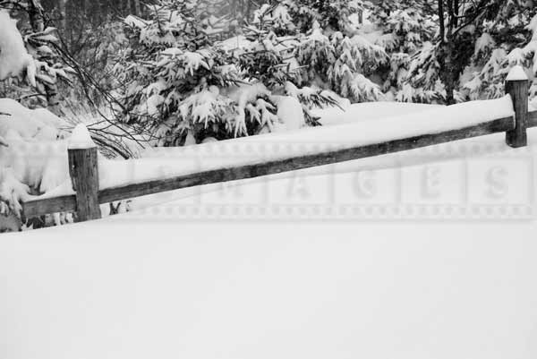 Snow accumulations almost cover the fence