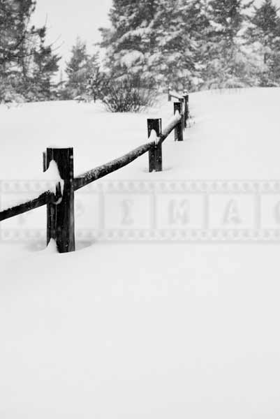 Scenic winter picture of a snow covered fence