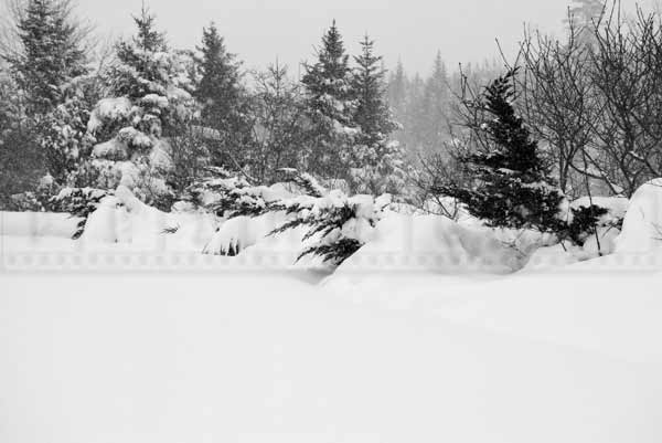 nova scotia winter storm march 18, 2015