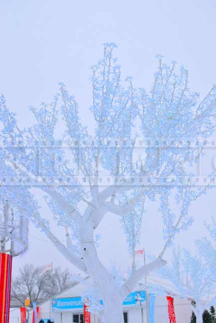 Beautiful outdoor winter decorations