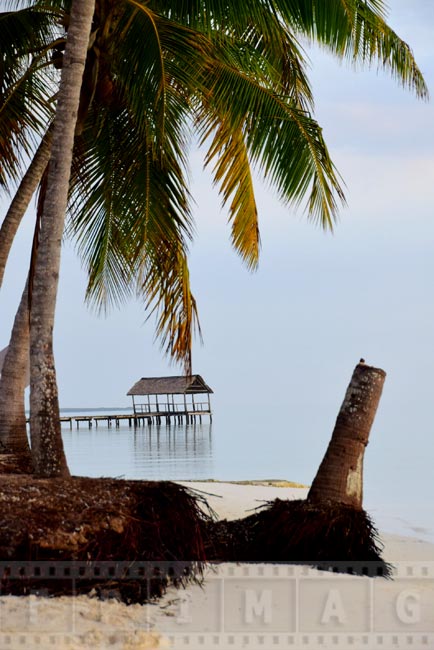 Cayo Guillermo beach scene