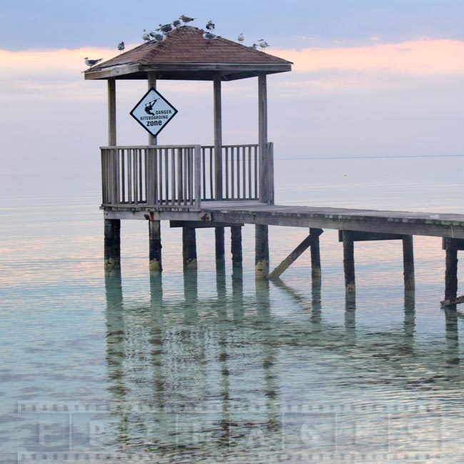 Seagulls resting on the pier