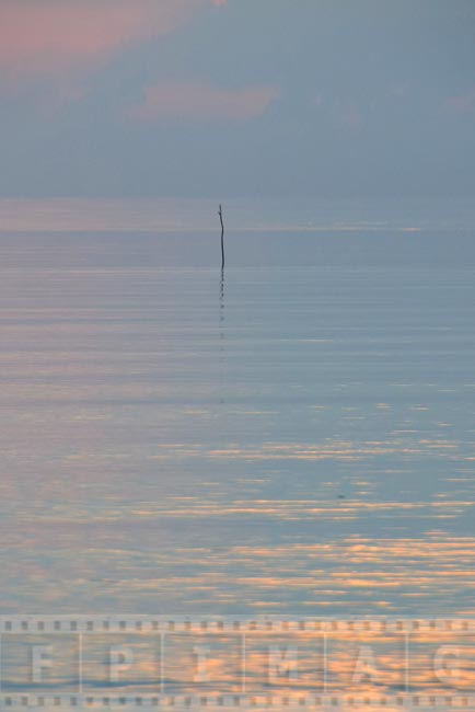 Calm ocean, sunrise oceanscape