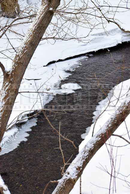 Winter nature picture - water flow in small brook