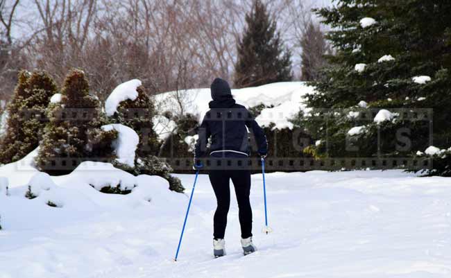 Cross country skier on a trail