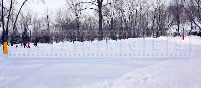 Frozen pond makes great skating rink