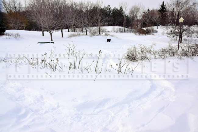 Snow shoe trail in Arboretum part of the park