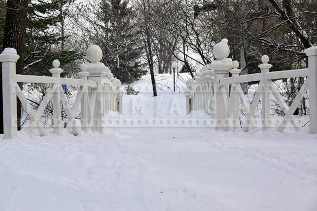 Bridge from the forest to arboretum