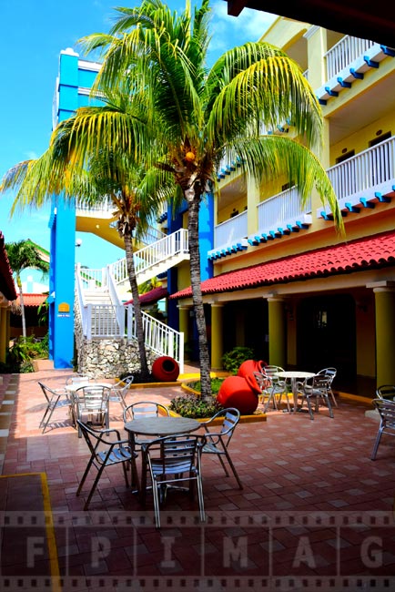 Patio with palm trees