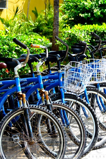 Bicycle stand at the hotel