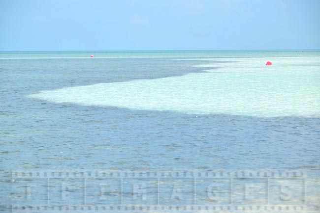 Scenic Caribbean beach picture