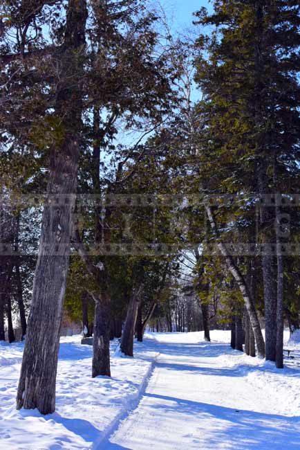 Winter hiking trail, Montmorency falls park