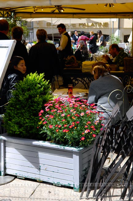 Outdoor restaurant with flowers in the spring