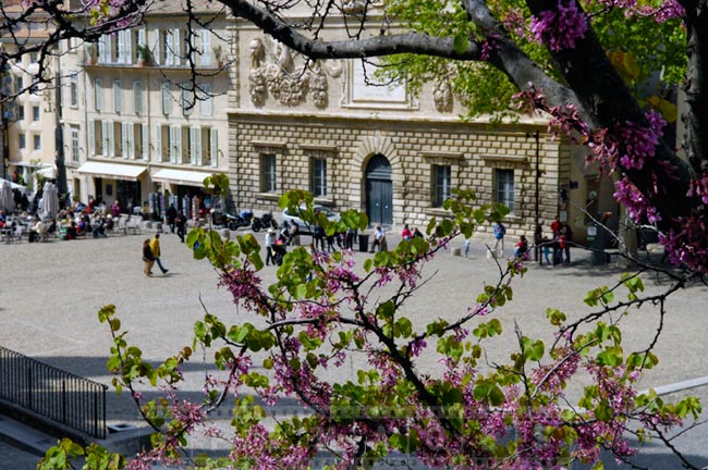 Spring in Avignon, small town in Europe