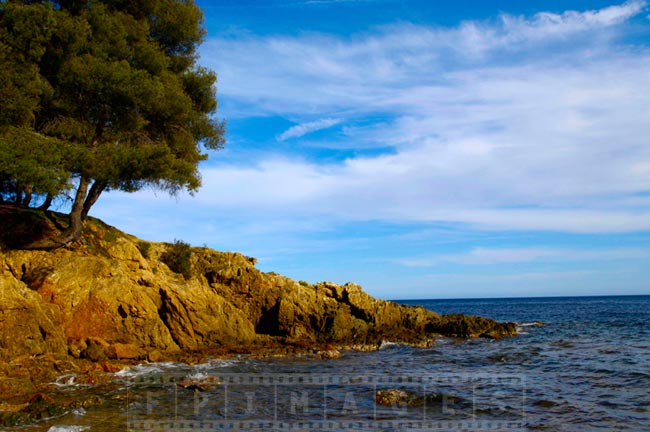 Rugged shores of Saint Tropez bay