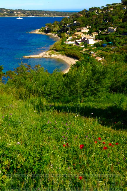 Beautiful Saint Tropez shores and beaches