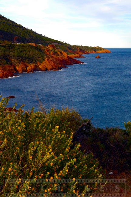 Med sea and rugged shores near Saint Tropez